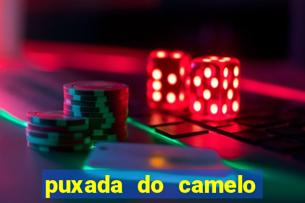 puxada do camelo no jogo do bicho